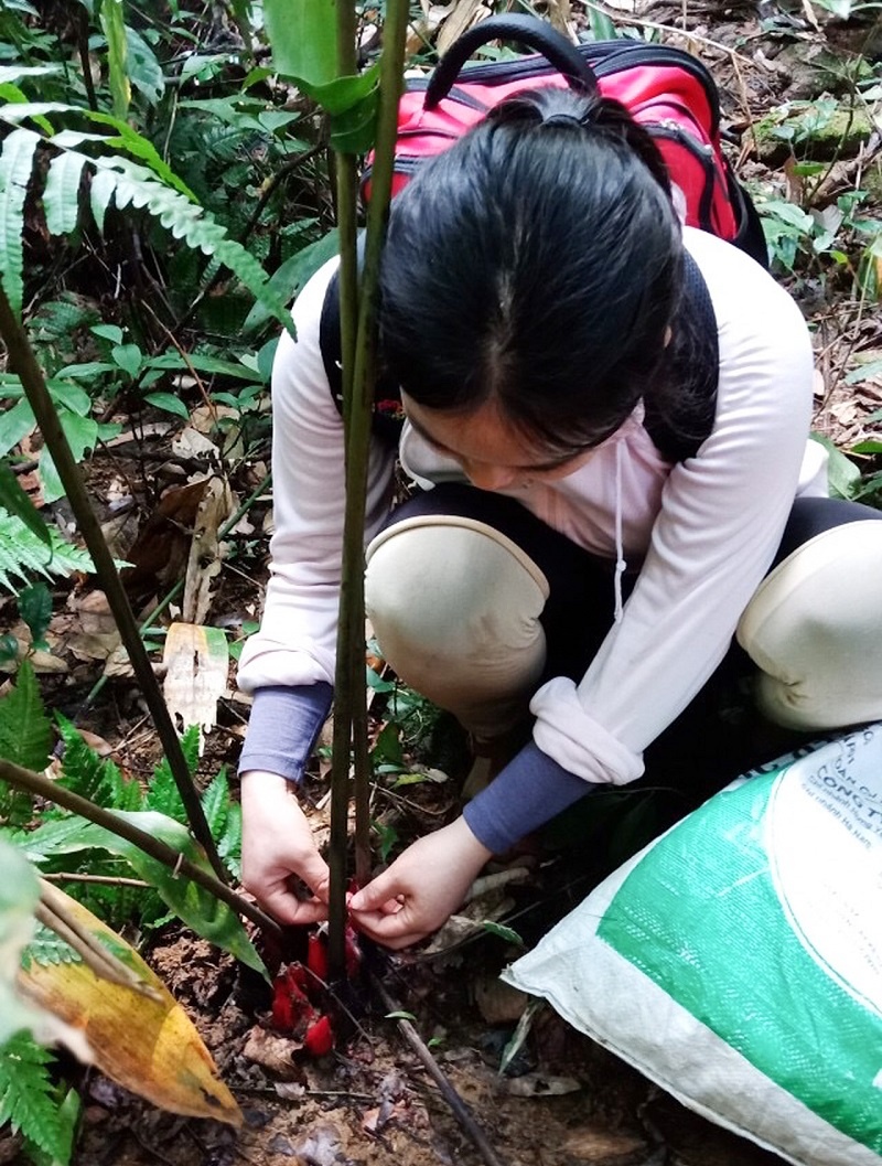 nu pho giao su tre 2020 anh 3