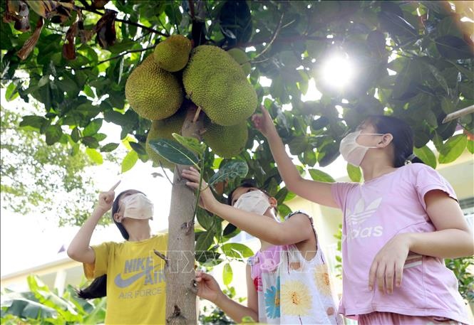 tre em do cach ly anh 9