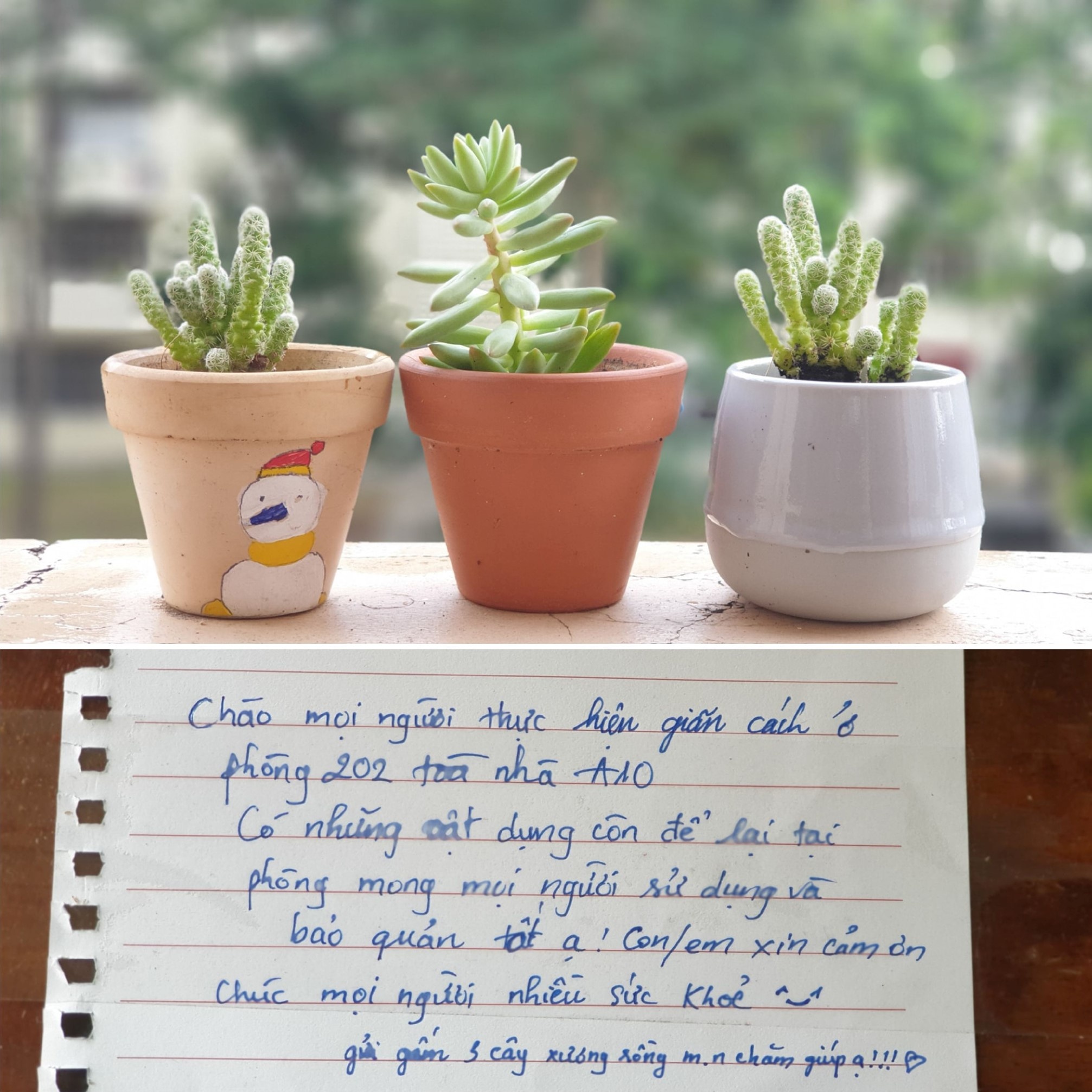 sinh vien gui mi o lai khu cach ly anh 4