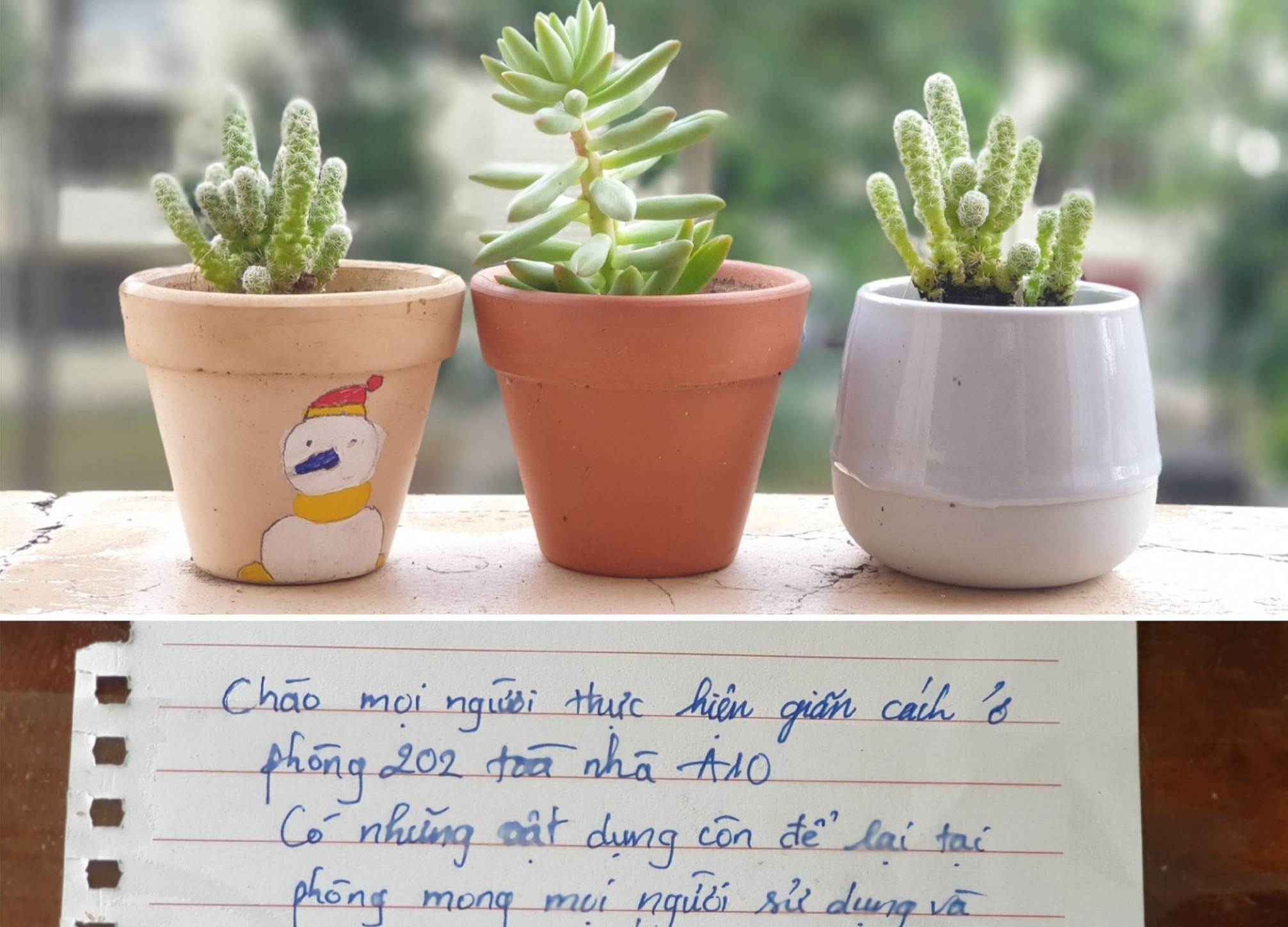 De lai mi o khu cach ly, sinh vien nhan moi nguoi can cu lay hinh anh