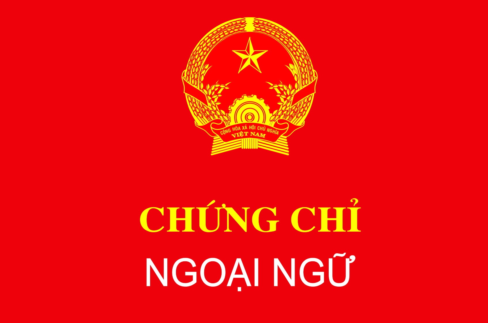 Chinh thuc bo chung chi tin hoc, ngoai ngu cho cong chuc hanh chinh hinh anh