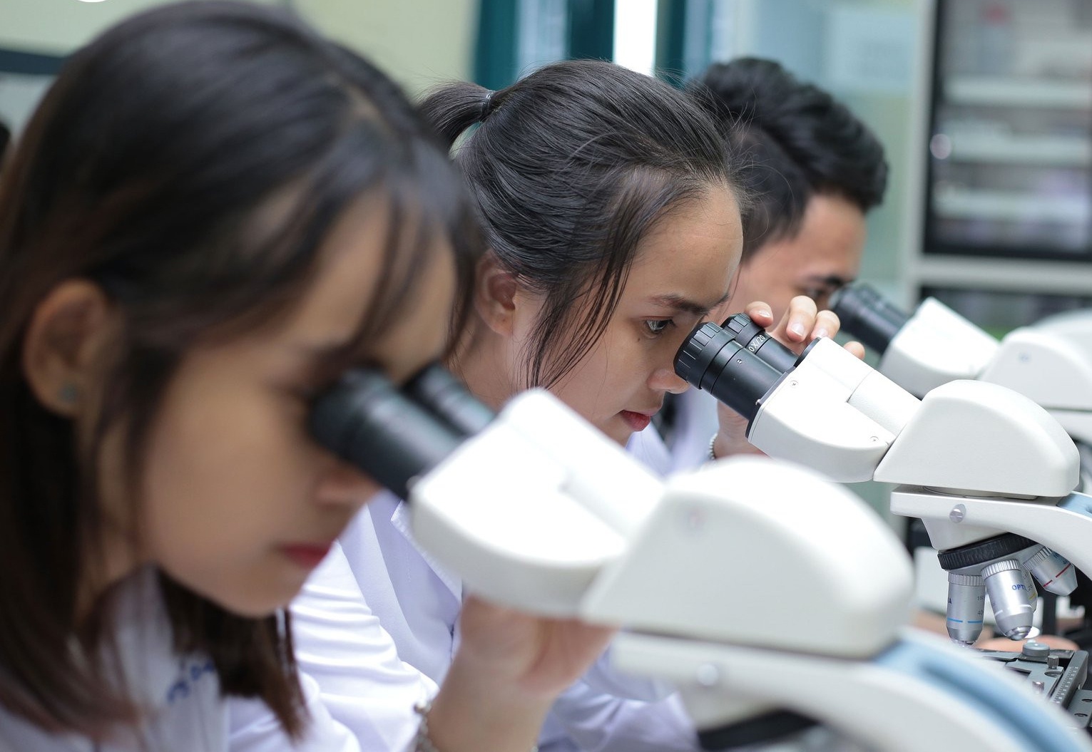 Đổi mới giáo dục đại học  ảnh 2 Doi moi giao duc dai hoc anh 2
