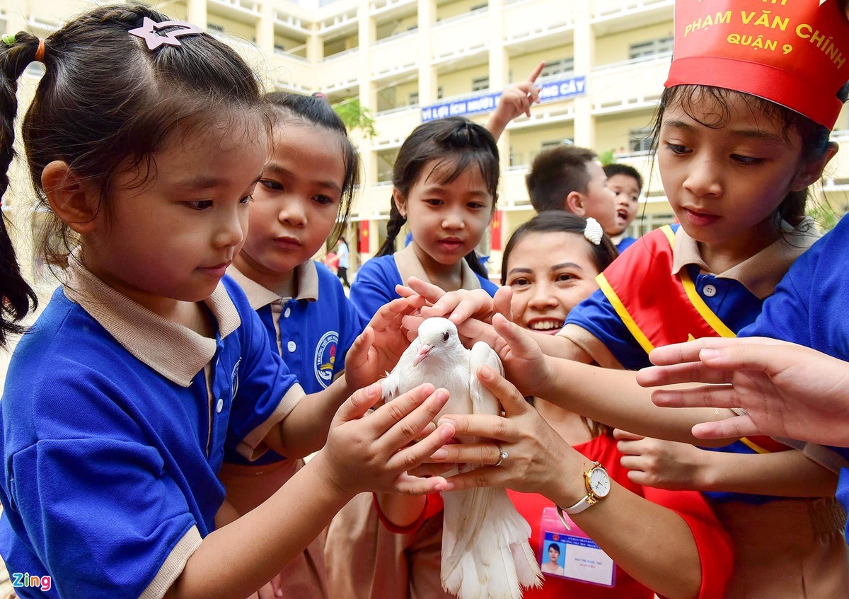 TP.HCM ngon ngang truoc nam hoc moi anh 1