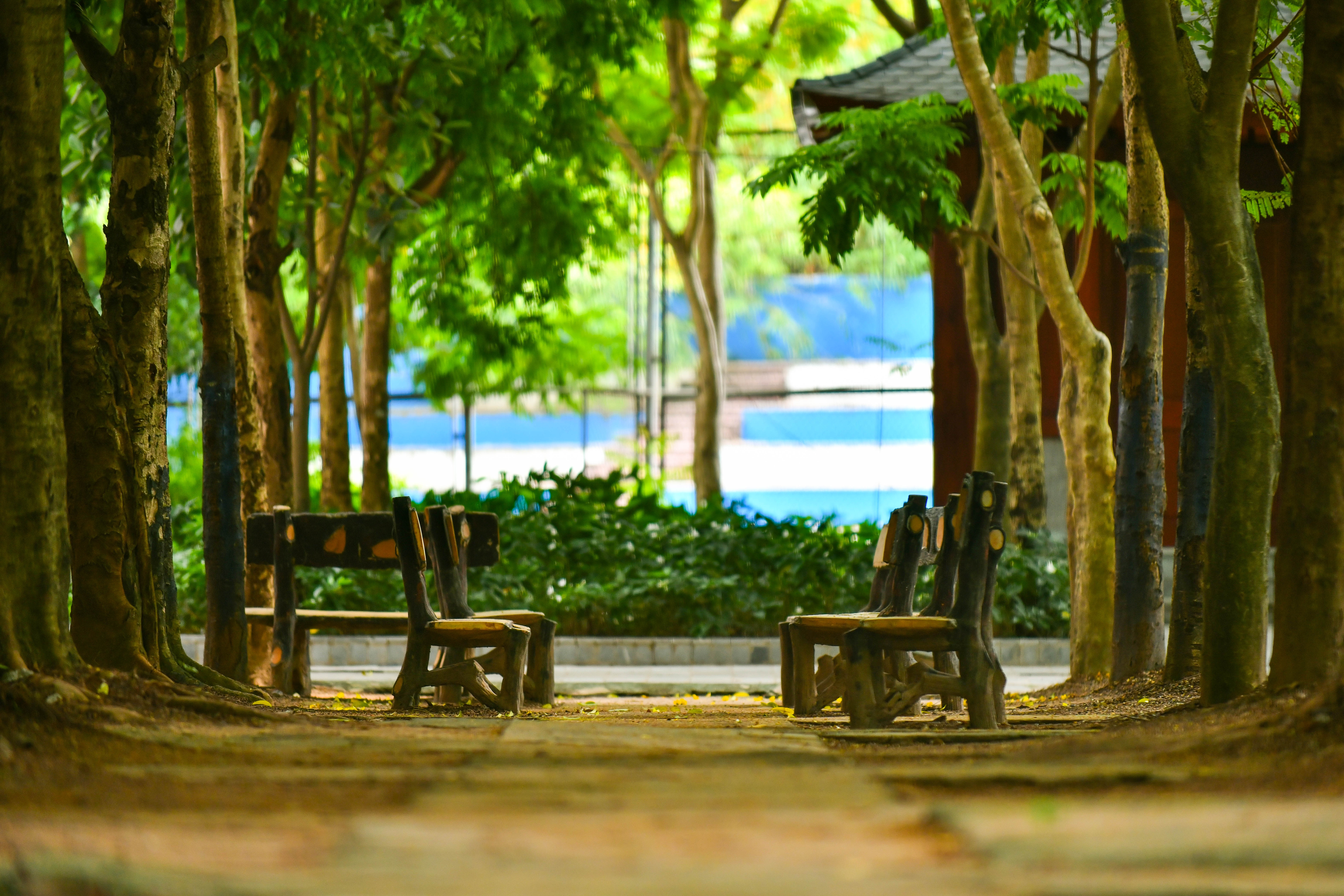 khai giảng online ảnh 5 khai giang online anh 5