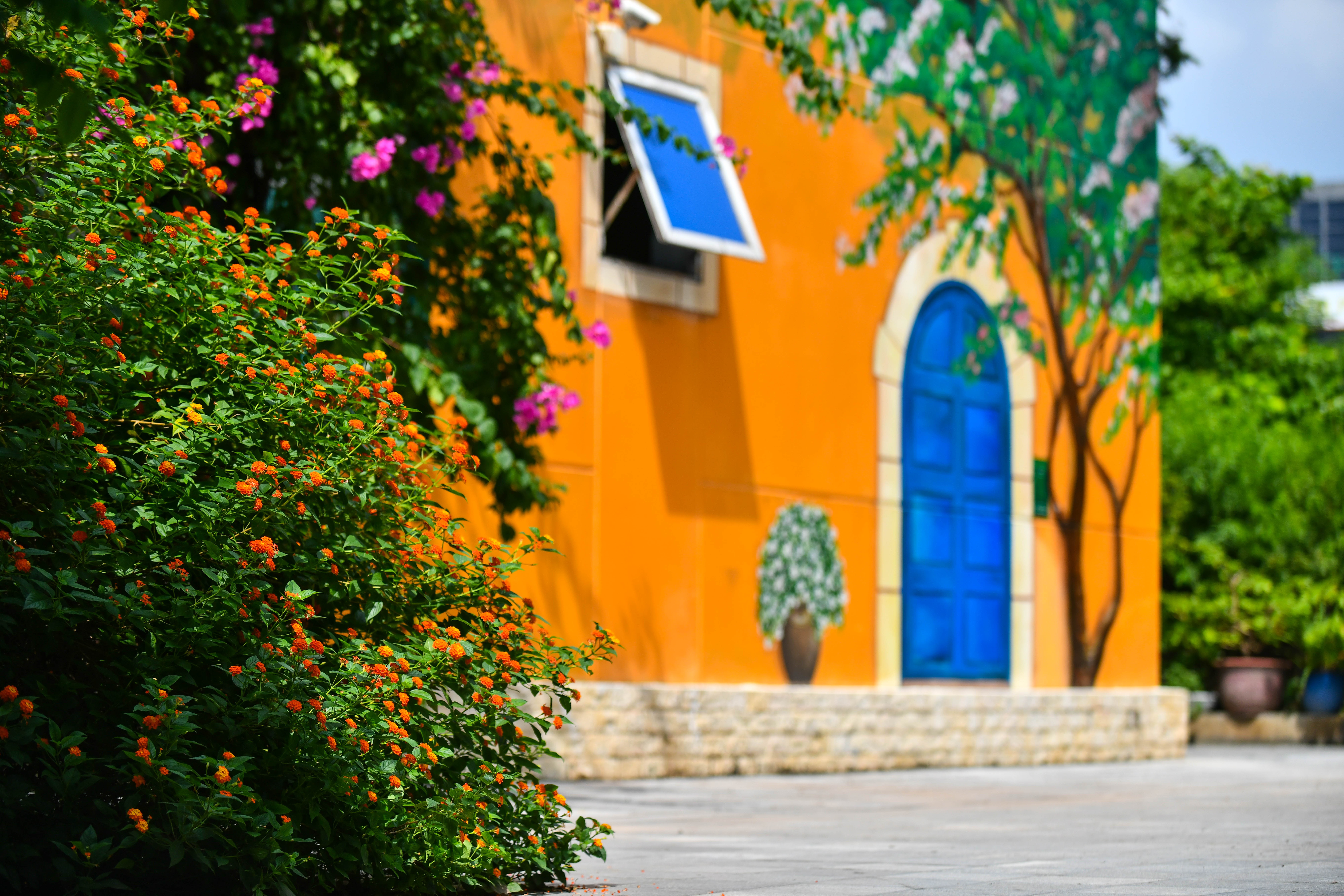 khai giảng online ảnh 2 khai giang online anh 2