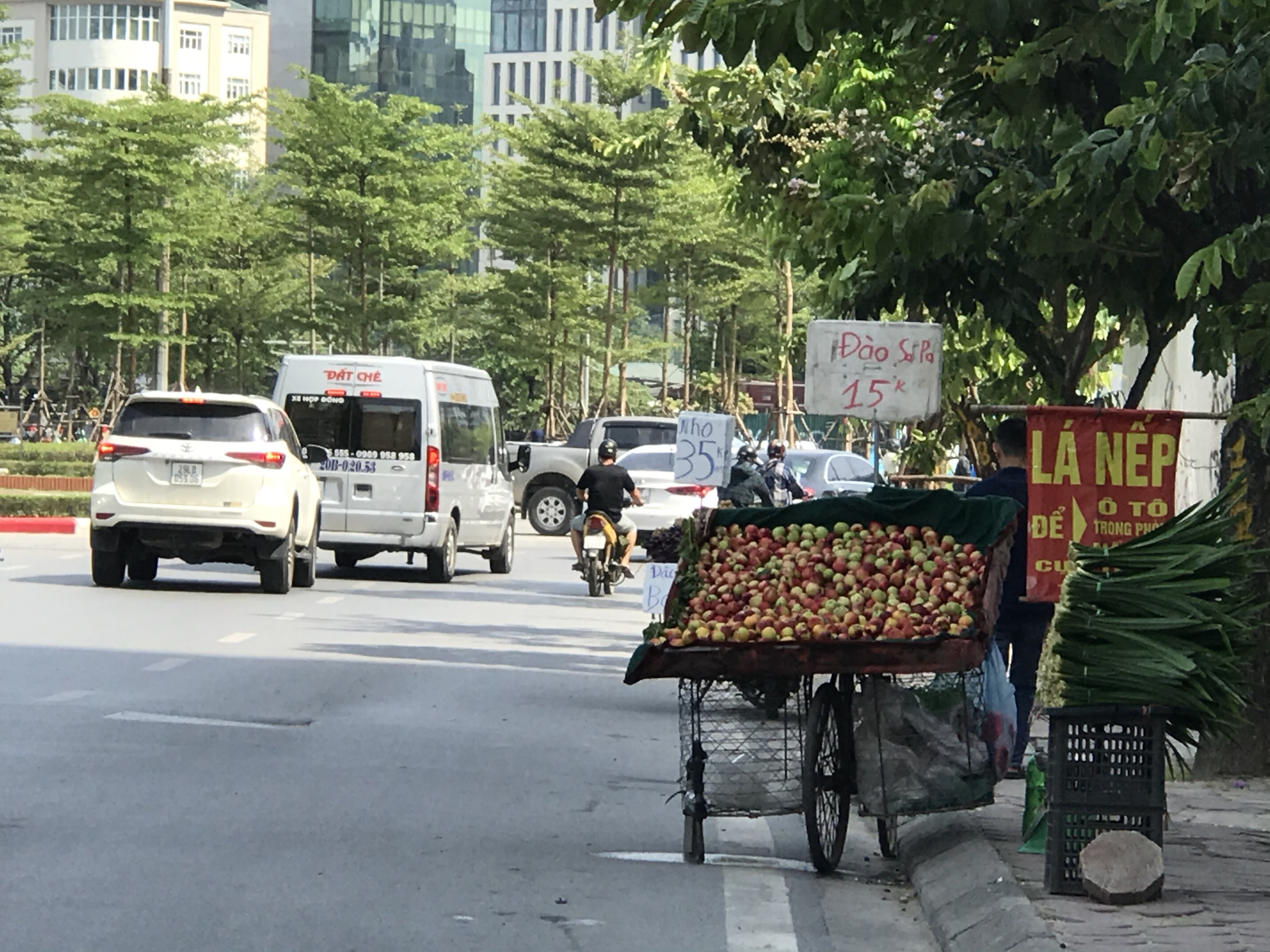 chất lượng hoa quả vỉa hè  ảnh 1 chat luong hoa qua via he anh 1