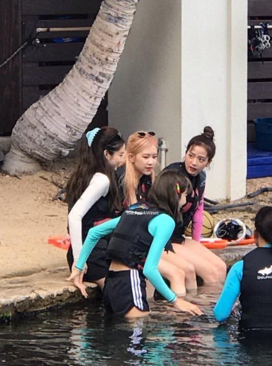 Blackpink dien bikini anh 11