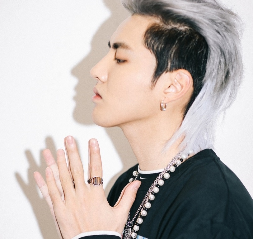 toc ngo diec pham anh 8