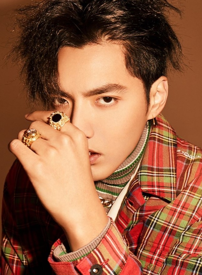 toc ngo diec pham anh 10