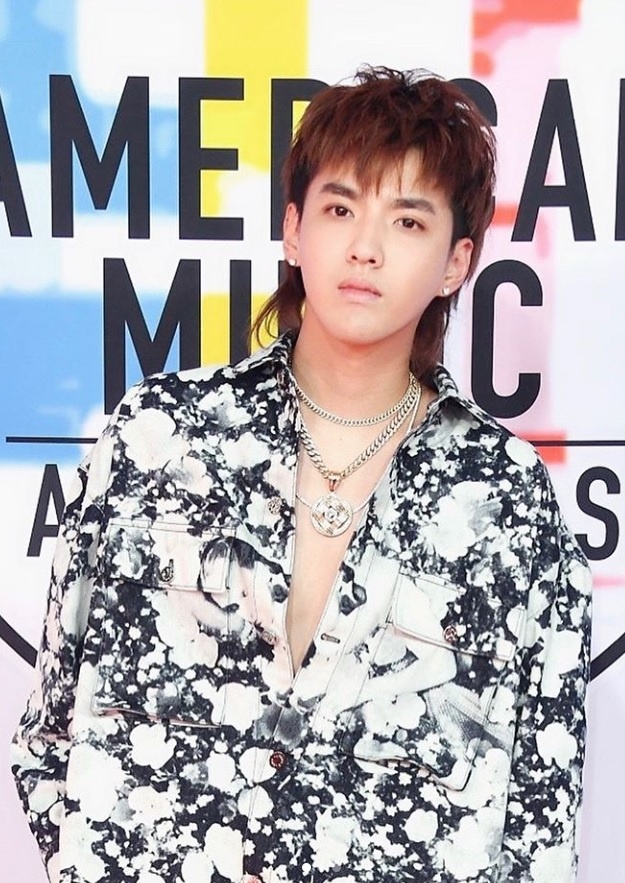 toc ngo diec pham anh 11