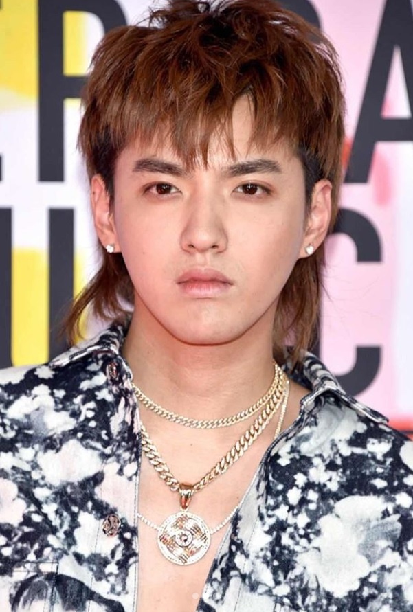 toc ngo diec pham anh 12