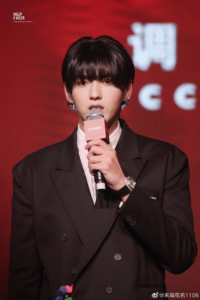 toc ngo diec pham anh 2