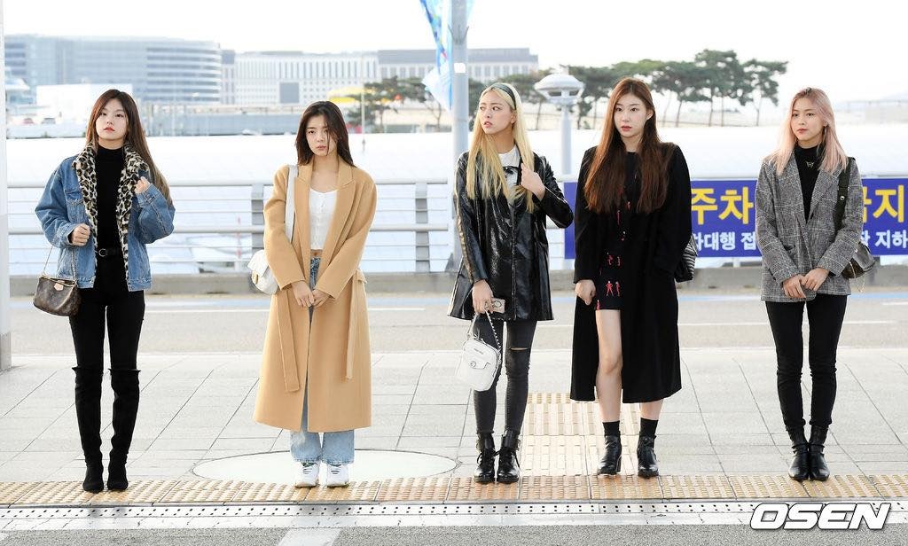 sao han mac gi den viet nam anh 11