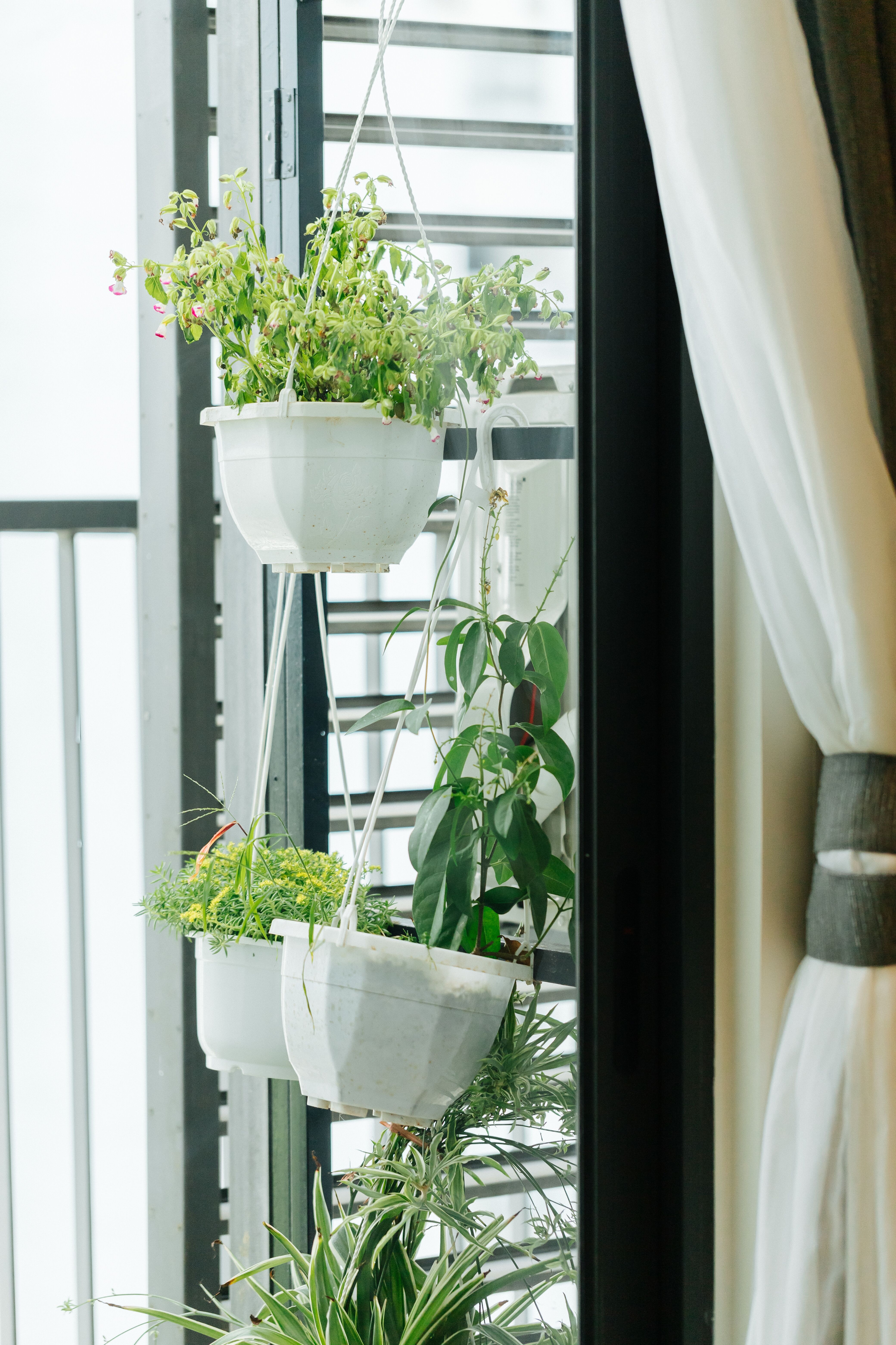 Thiet ke can ho kieu Nhat anh 11