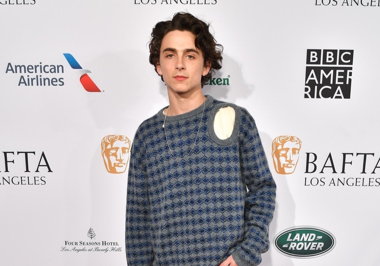 Timothee Chalamet dan danh mat danh hieu sao nam mac dep nhat the gioi hinh anh