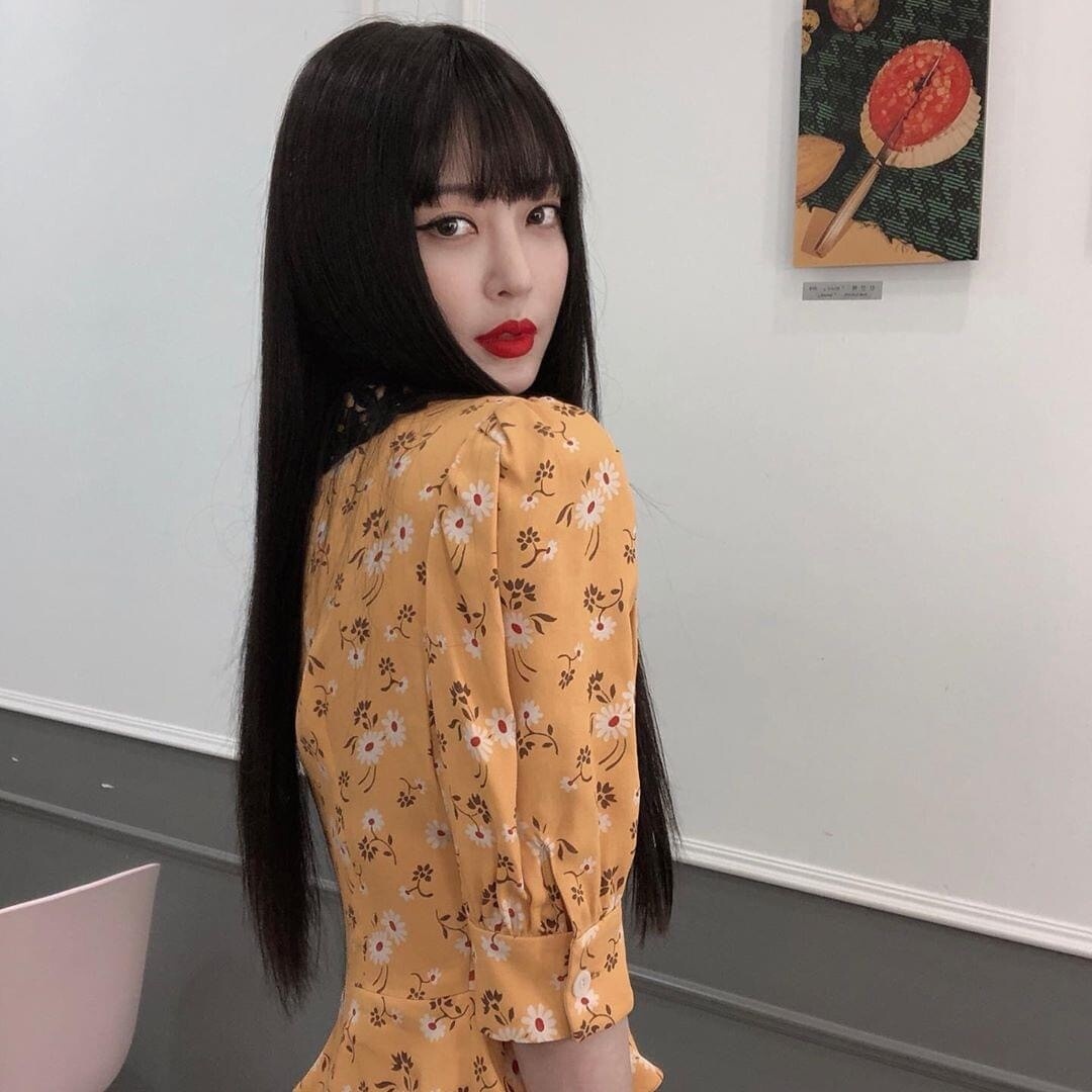 hoa tiet hoa cuc anh 12