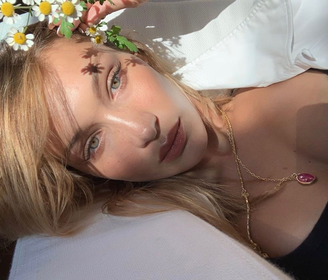 hoa tiet hoa cuc anh 13