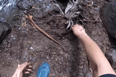 Lam moi lai doi Yeezy 1.200 USD bi vut bo trong rung hinh anh