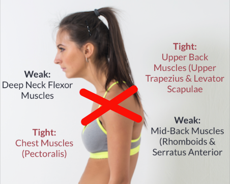 cach chua gu don gian anh 1