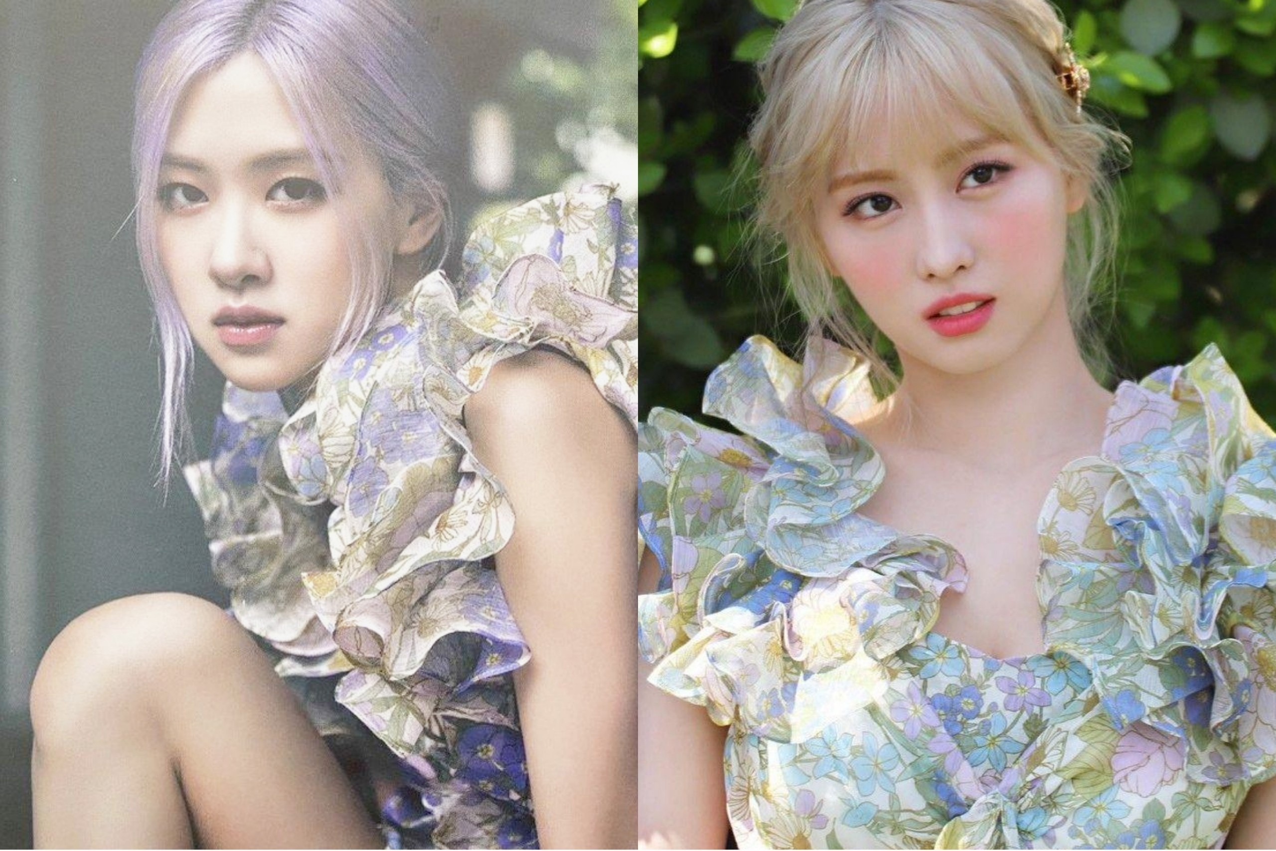 Rose mac vay 1.558 USD giong Momo hinh anh