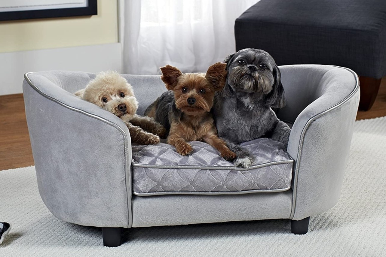 Nhung mon do hieu nghin USD cho cho meo hinh anh