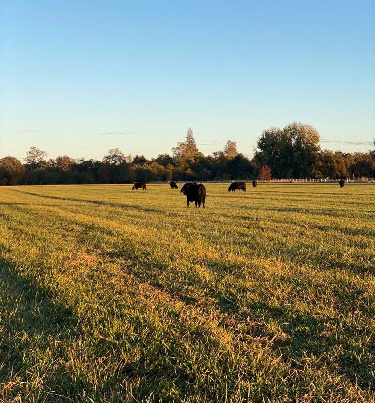 hau truong buoi chup hinh cua nguoi mau ao tam anh 7