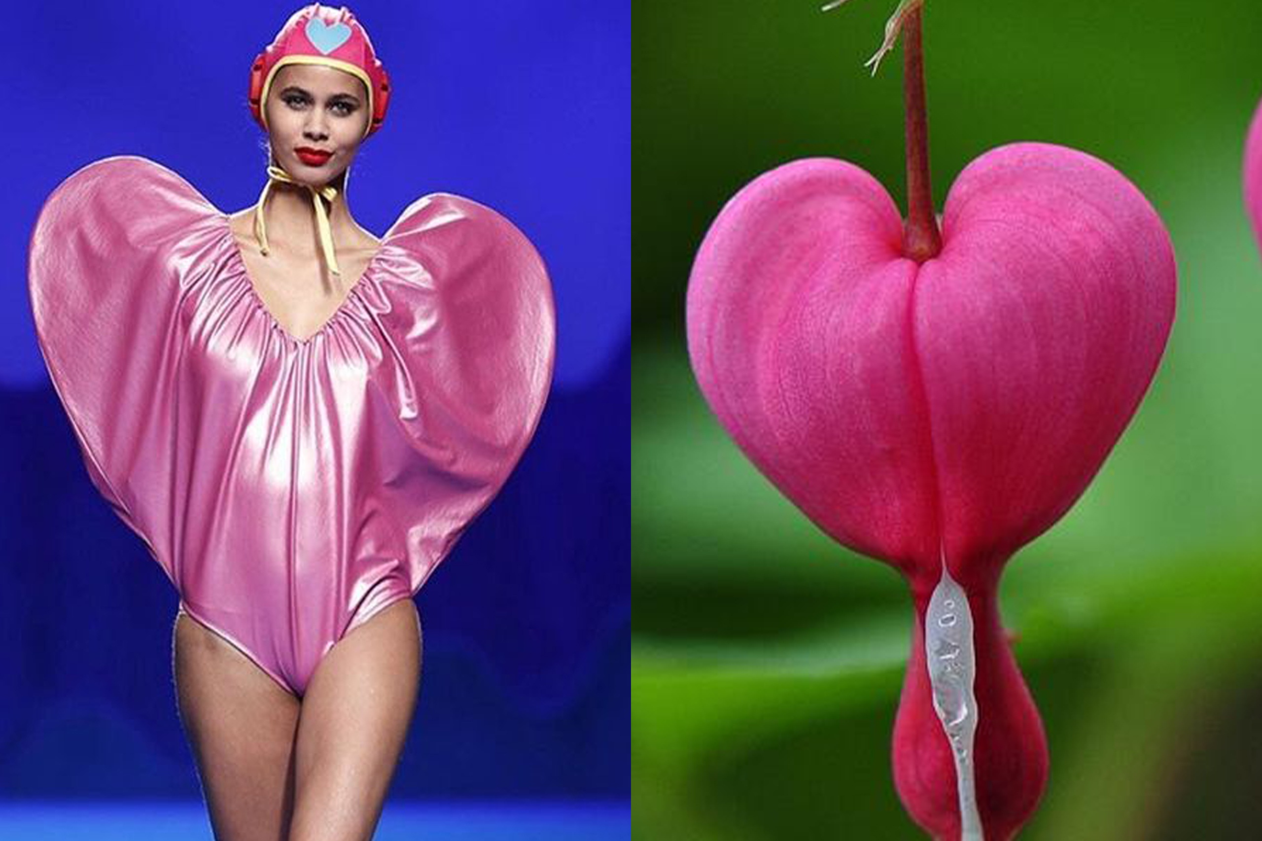 Nhung thiet ke duoc so sanh voi hoa co va con trung hinh anh