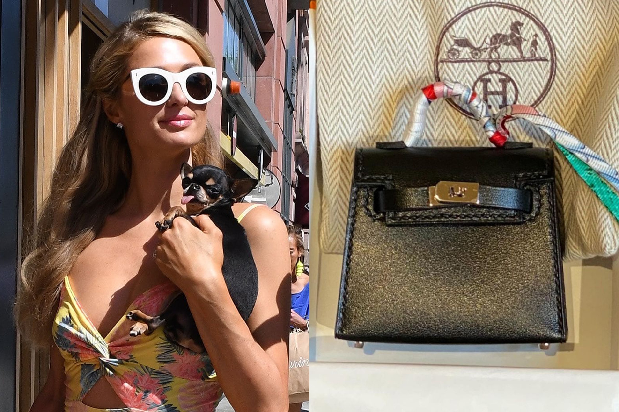 Paris Hilton mua tui Hermes 5.500 USD cho thu cung hinh anh