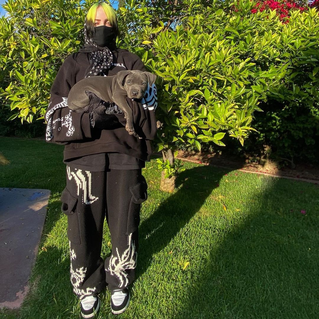 Billie Eilish theo đuổi gu ăn mặc gợi cảm ảnh 10 Billie Eilish theo duoi gu an mac goi cam anh 10
