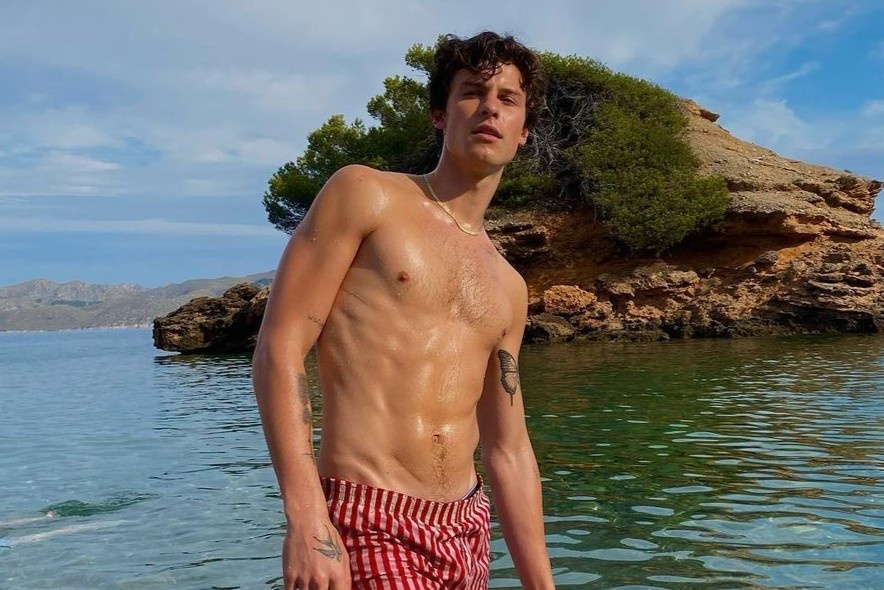 Co bung 6 mui cua Shawn Mendes hinh anh