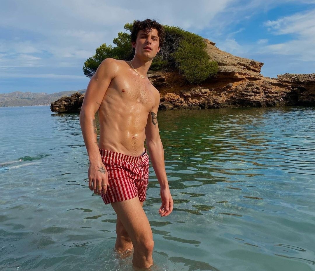 co bung 6 mui cua Shawn Mendes anh 1