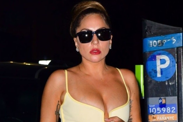 Lady Gaga goi cam hinh anh