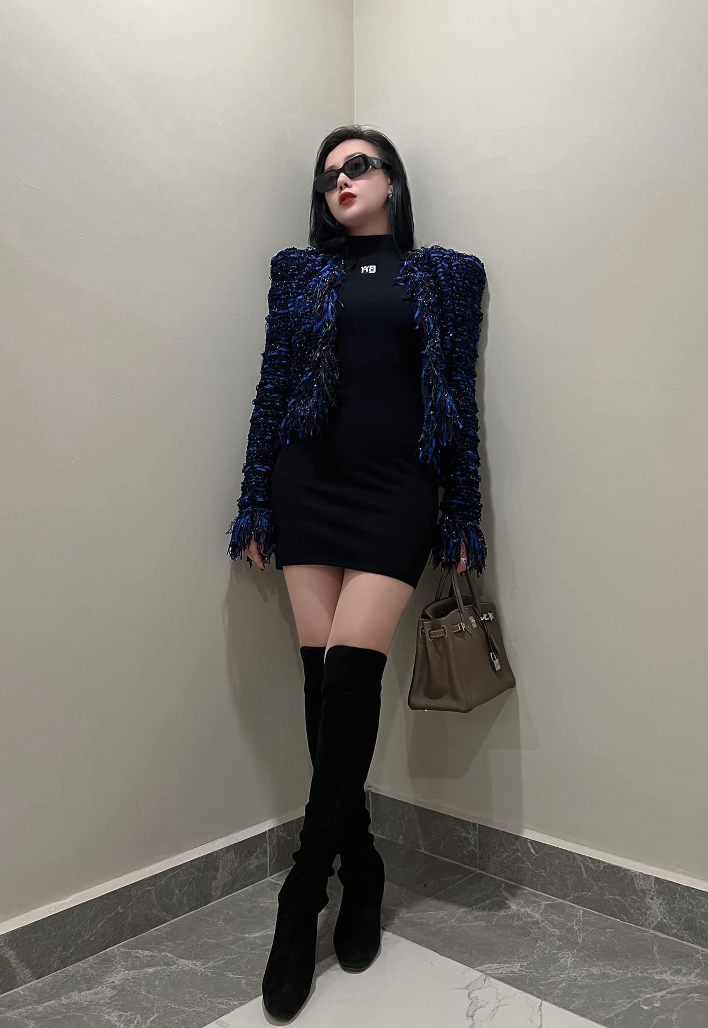 Shark Bình Phương Oanh ảnh 8 Shark Binh Phuong Oanh anh 8