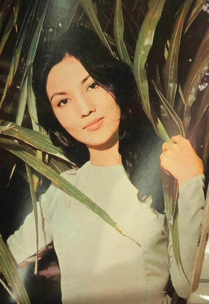 thẩm thúy hằng qua đời ảnh 5 tham thuy hang qua doi anh 5