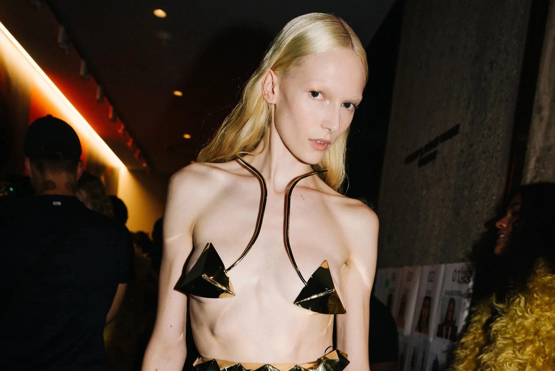 Nguoi mau mac ho trong hau truong show dien hinh anh