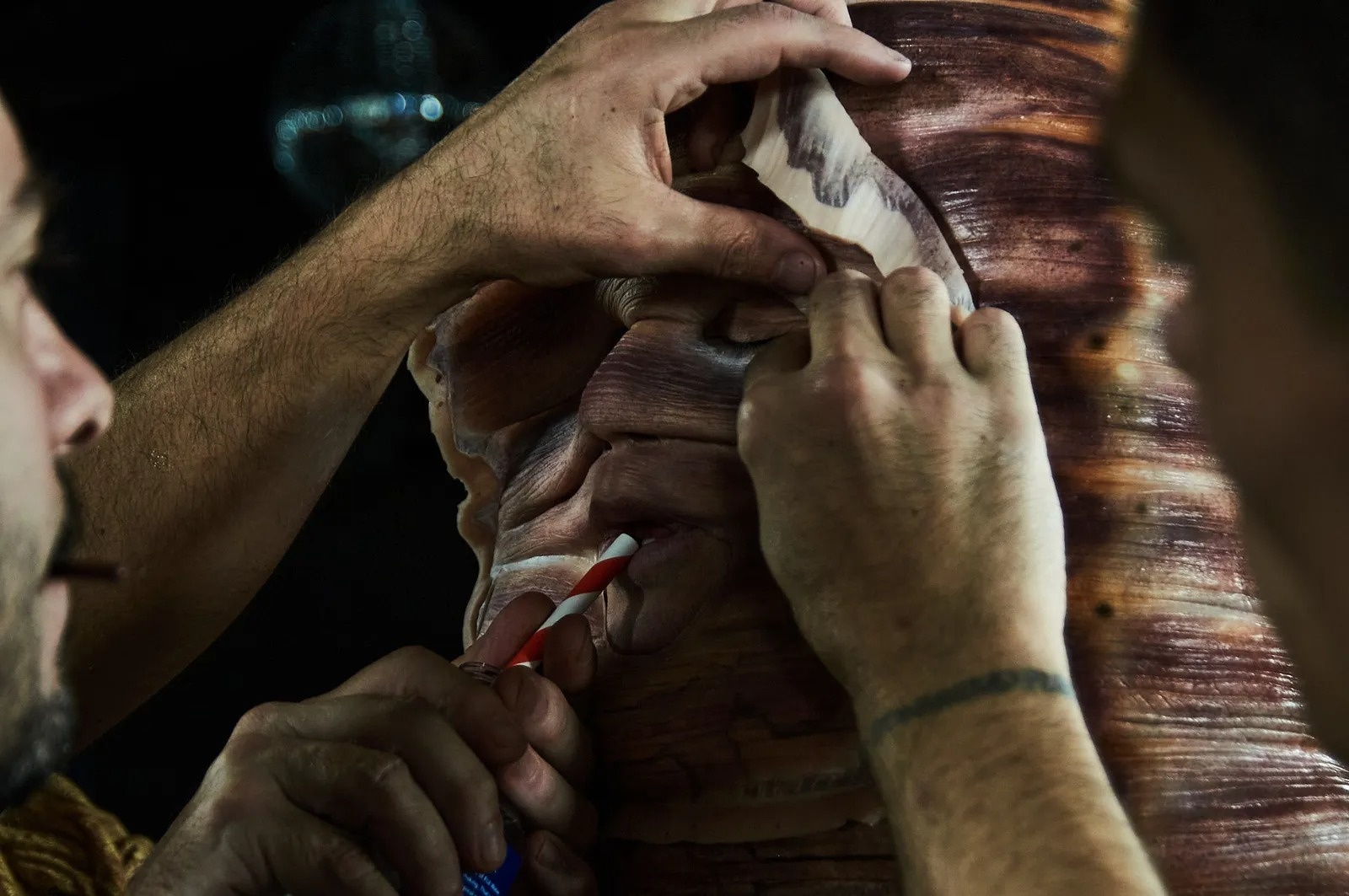 heidi klum hoa trang anh 5