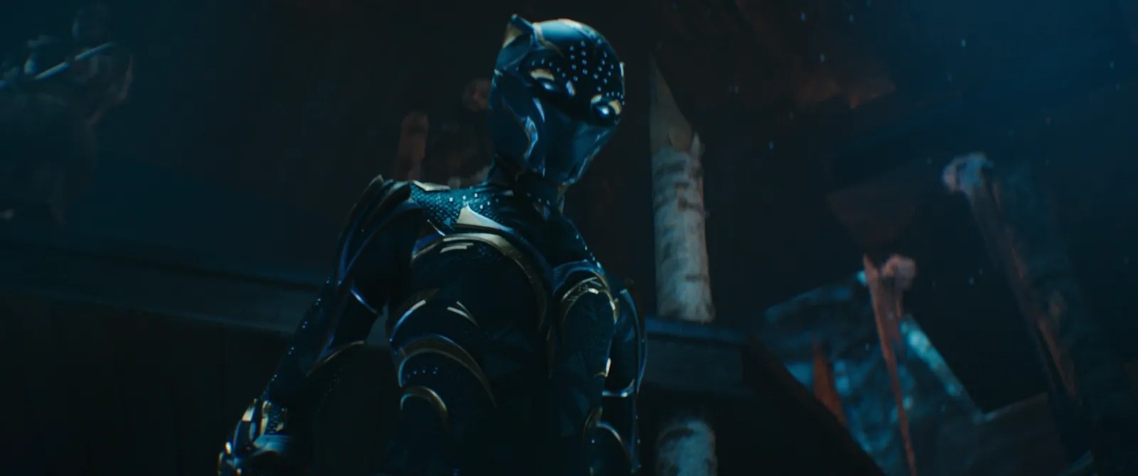 thoi trang black panther anh 3