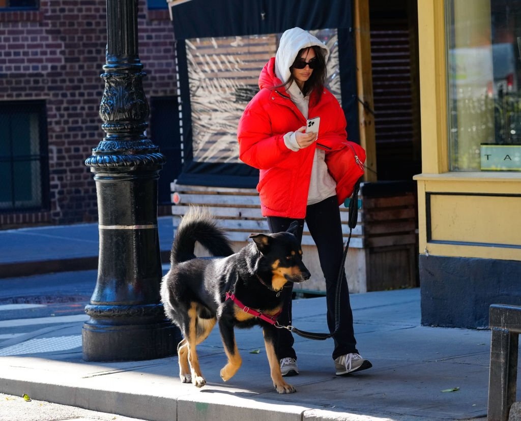 Emily Ratajkowski goi cam anh 8