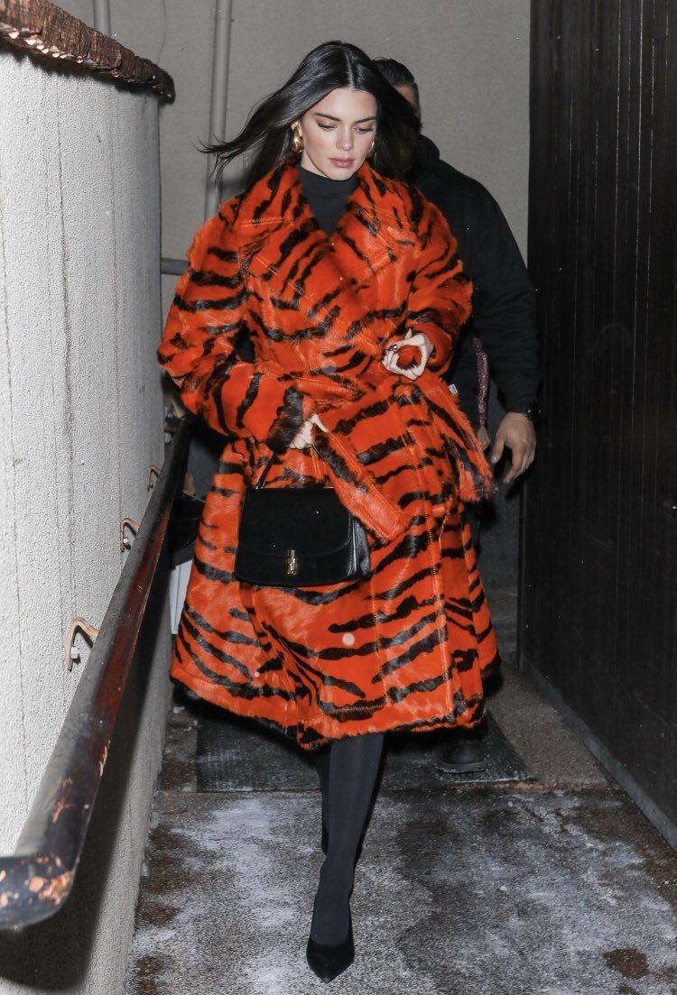 kylie jenner gợi cảm ảnh 6 kylie jenner goi cam anh 6