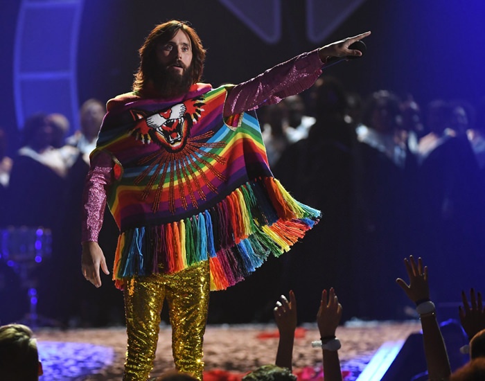 sao mặc con mèo ảnh 10 sao mac con meo anh 10