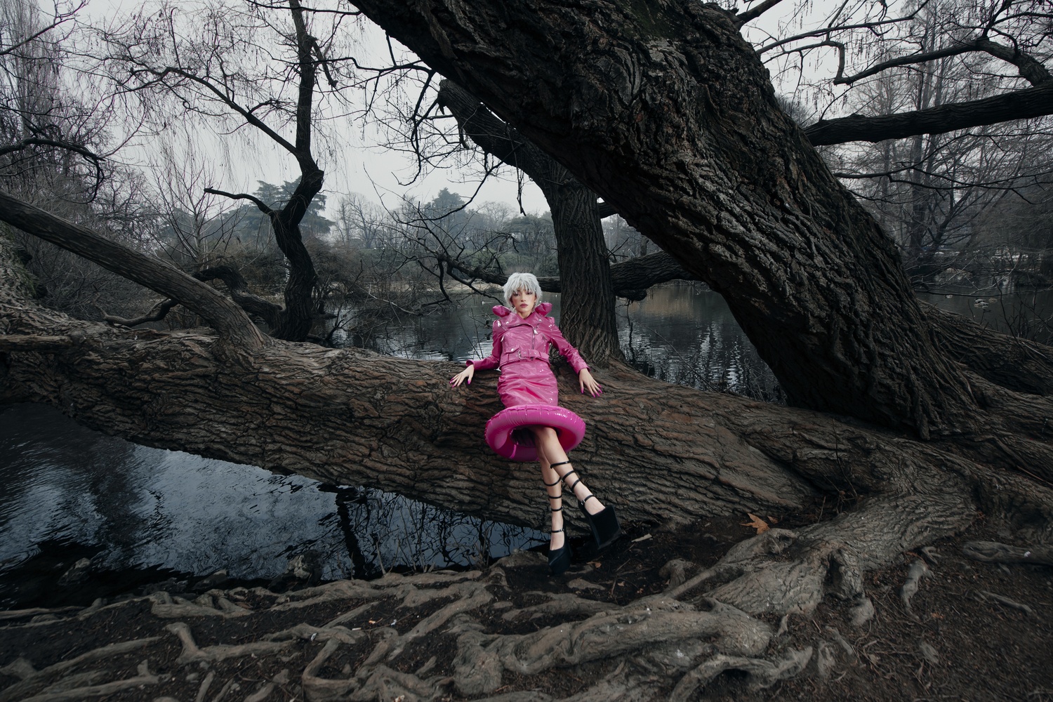 chau bui lo noiy anh 3