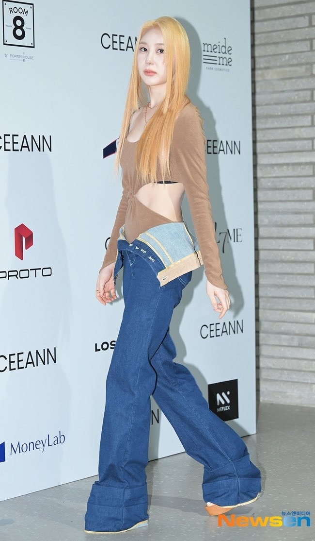 nghe si pham toi anh 13