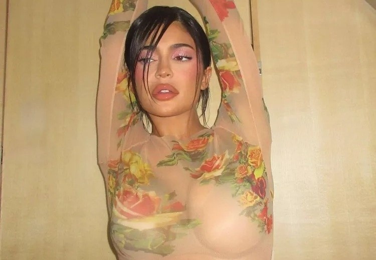 Ly do ao nit nguc khien Kylie Jenner bi ghet bo hinh anh