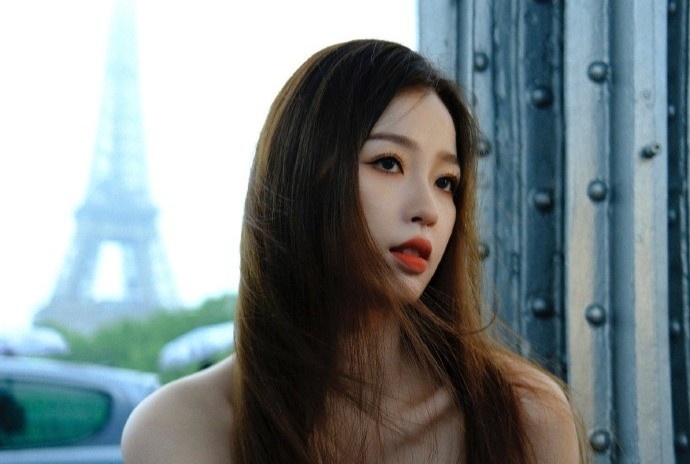 Ngu Thu Han mac dam cup nguc goi cam tai Phap hinh anh