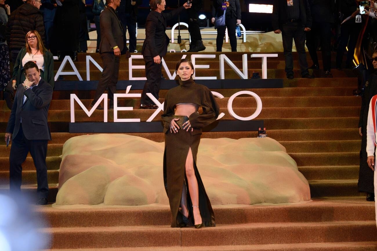 zendaya tao bao anh 6