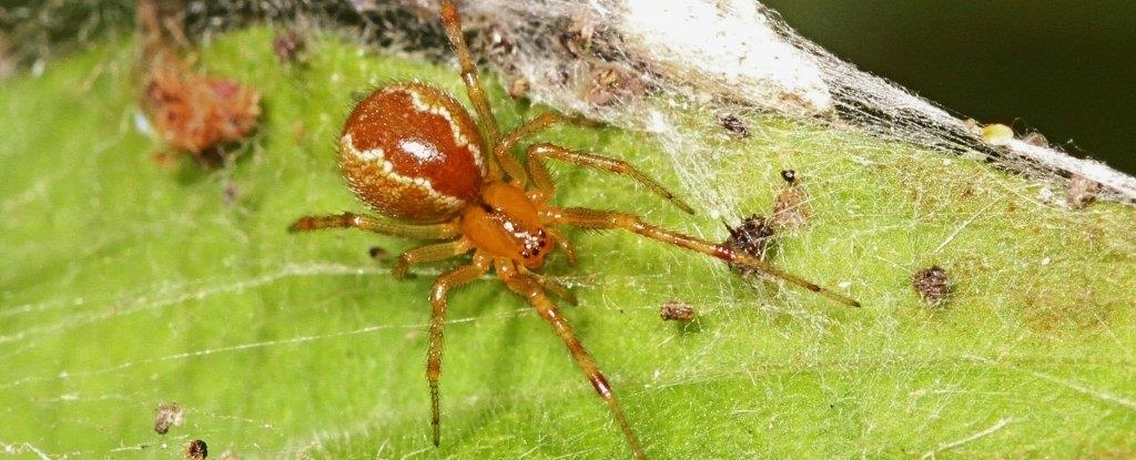 Nhen ngay cang hung du hon vi bien doi khi hau hinh anh