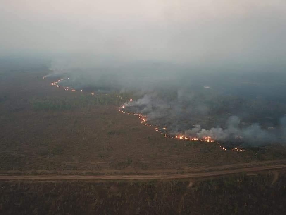 chay rung Amazon anh 3