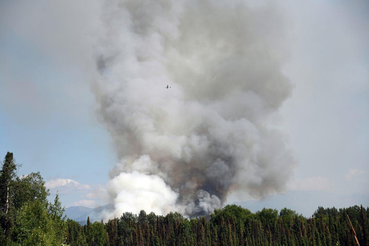 chay rung Amazon anh 8