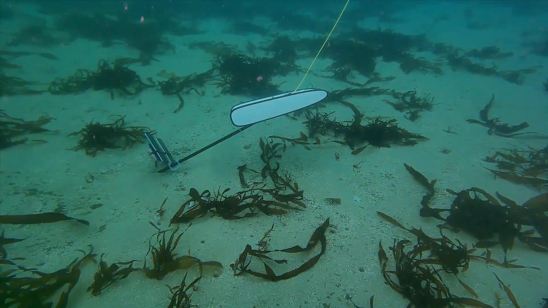 khả năng chống nước của iPhone 11 ảnh 2 kha nang chong nuoc cua iPhone 11 anh 2