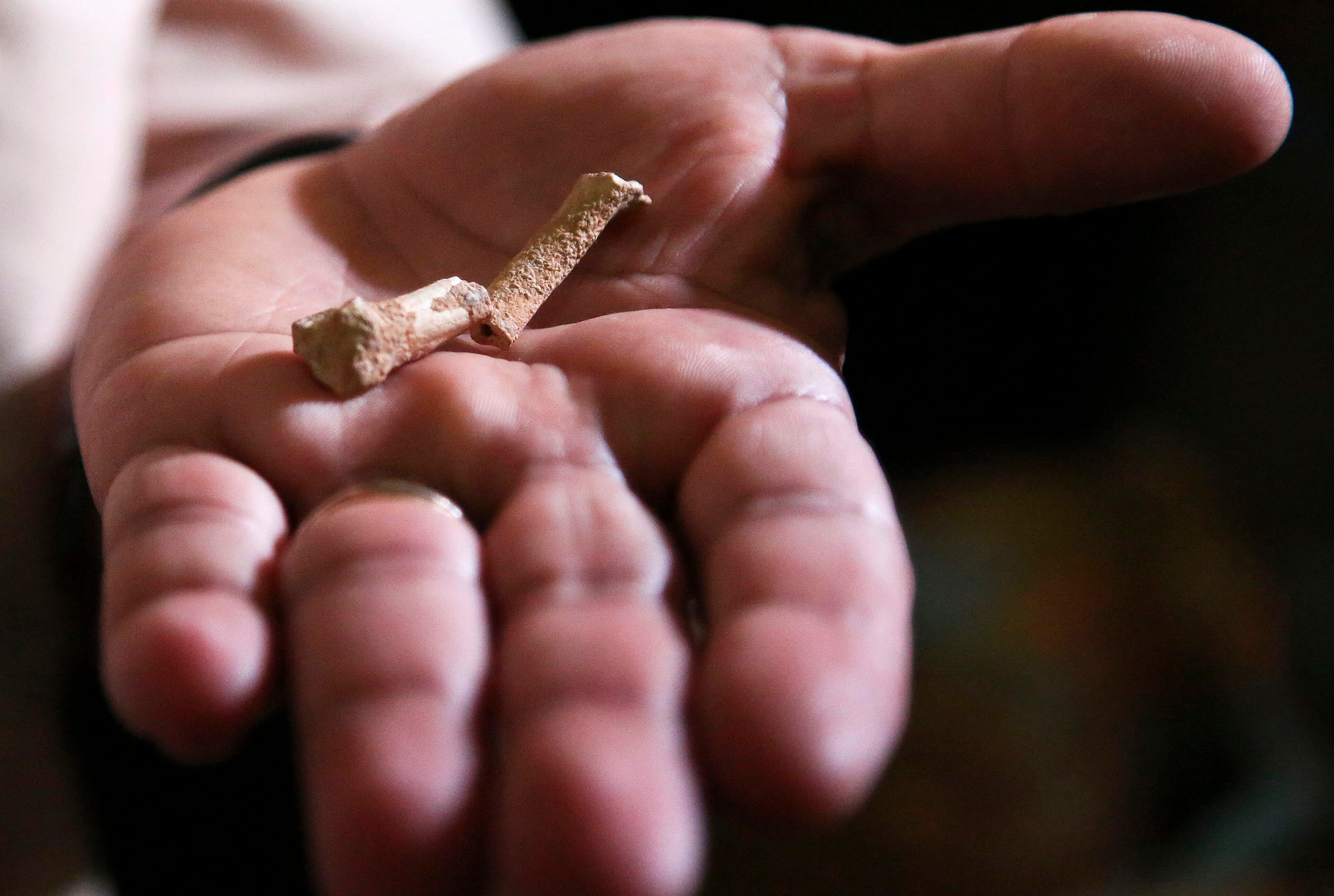 su kien khoa hoc 2019 anh 2